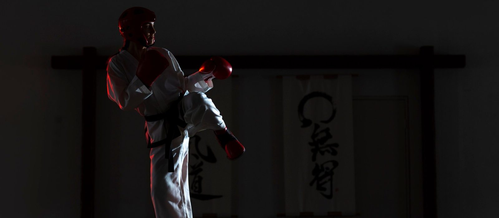 Cómo organizar pagos, membresías y clases en tu dojo
