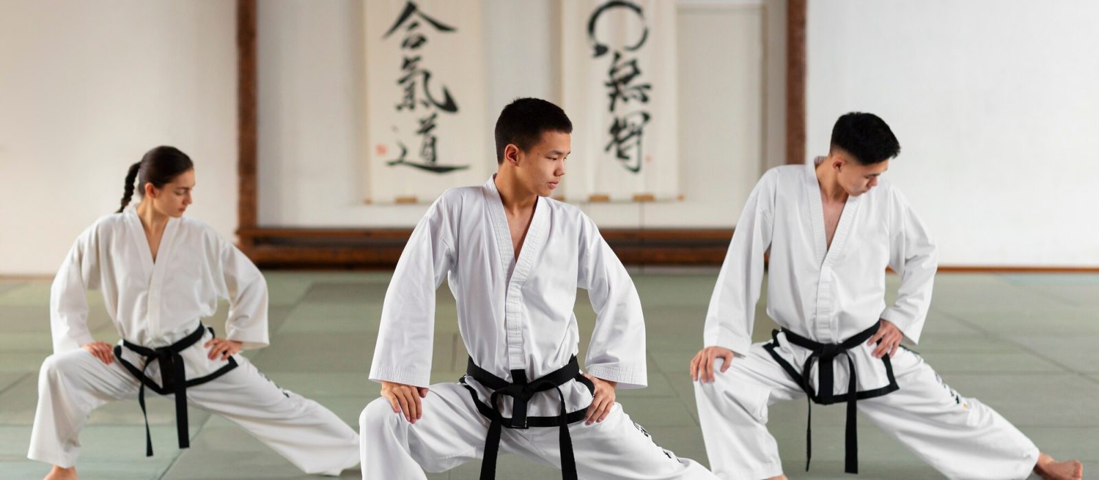 Qué es un Dojo